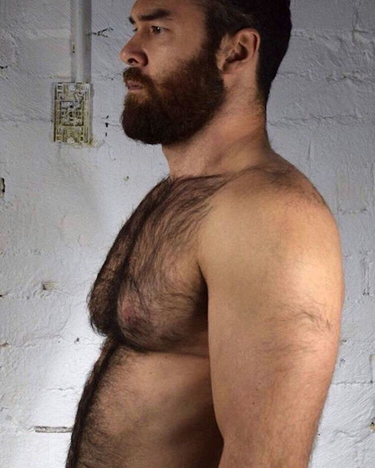 Best Bears Images On Pinterest Bears Hot Men And Hairy Men 3