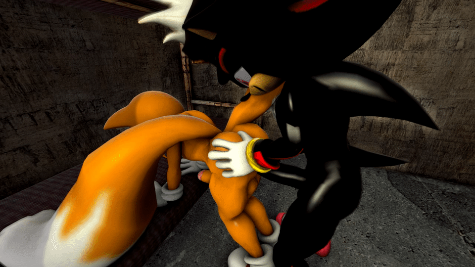 Anal Porn Sonic - sonic the hedgehog porn gif animated rule animated - XXXPicz