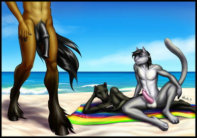 Furry Nude Beach - hentai furry beach anthro balls beach casual nudity cat digital media -  XXXPicz