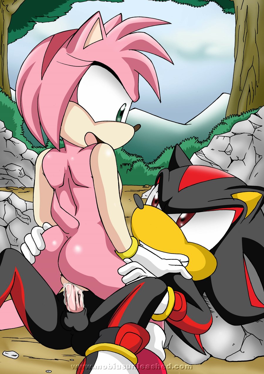 Shadow The Hedgehog Porn Within Showing Images For Shadow The Hedgehog Partners