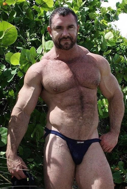 porn gay muscle bears