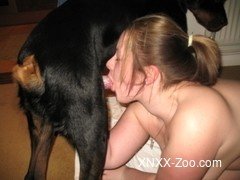 Bestiality Video Free Porn