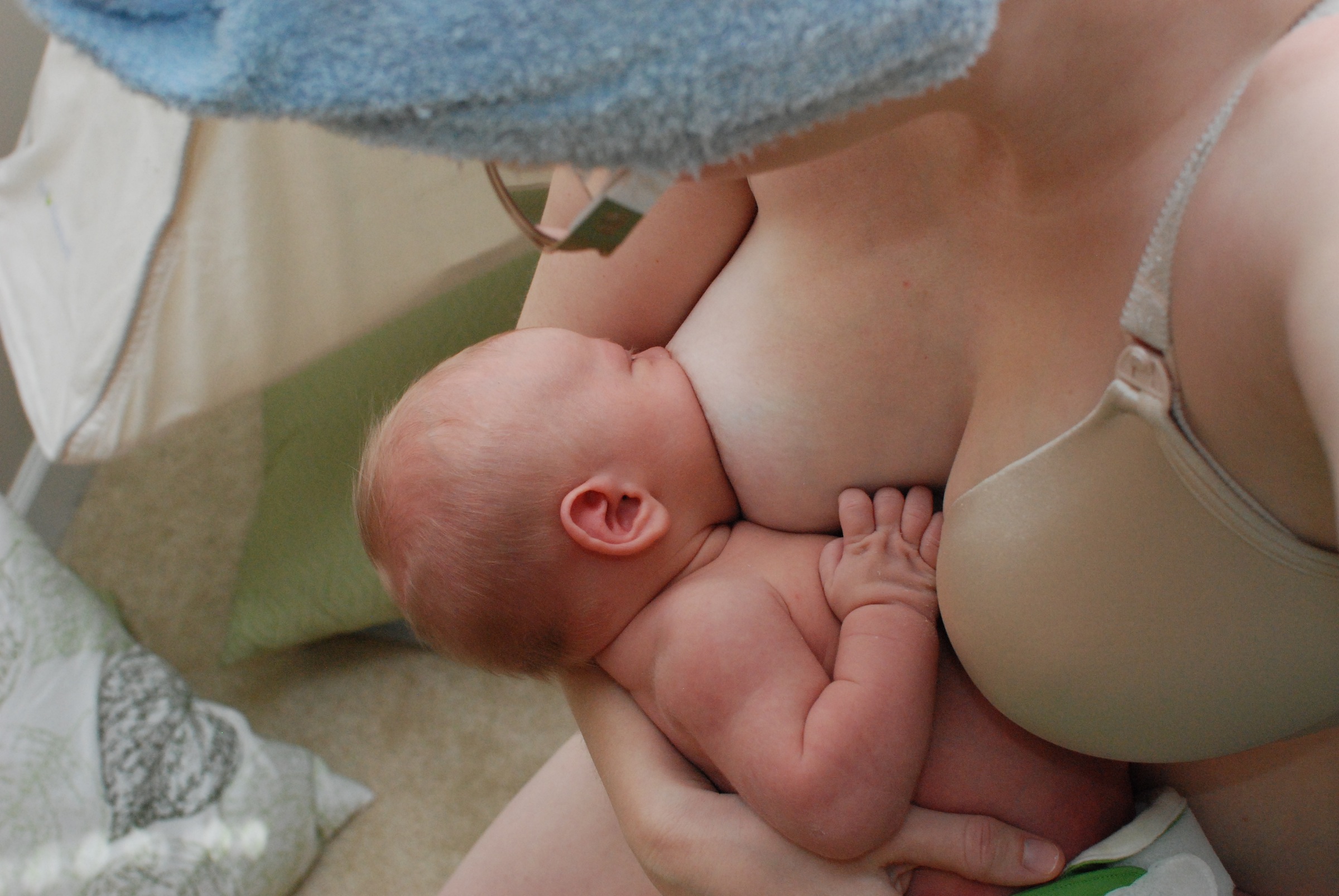 Xxx Pregnant While Breastfeeding - Pregnant Breastfeeding | Sex Pictures Pass