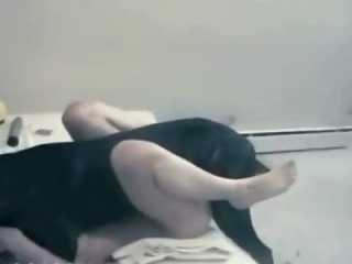 dog and girle porn dog tube homemade dog sex videos home - XXXPicz