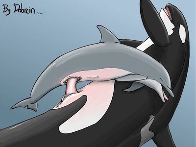 400px x 300px - dolphin furry porn big dom small sub cetacean dolorcin dolphin female feral  - XXXPicz