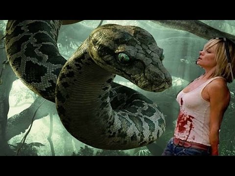 Woman Snake Sex Porn - download snake girl sex videos 1 - XXXPicz