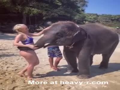elephant girl videos free porn videos 3 - XXXPicz