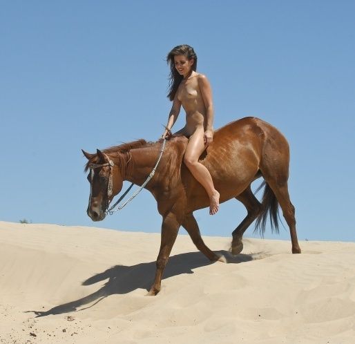 Sexyvedo Horse And Girl - hot woman and horse sexy in nature caballos bellas pinterest horse riding  horses and horse riding - XXXPicz