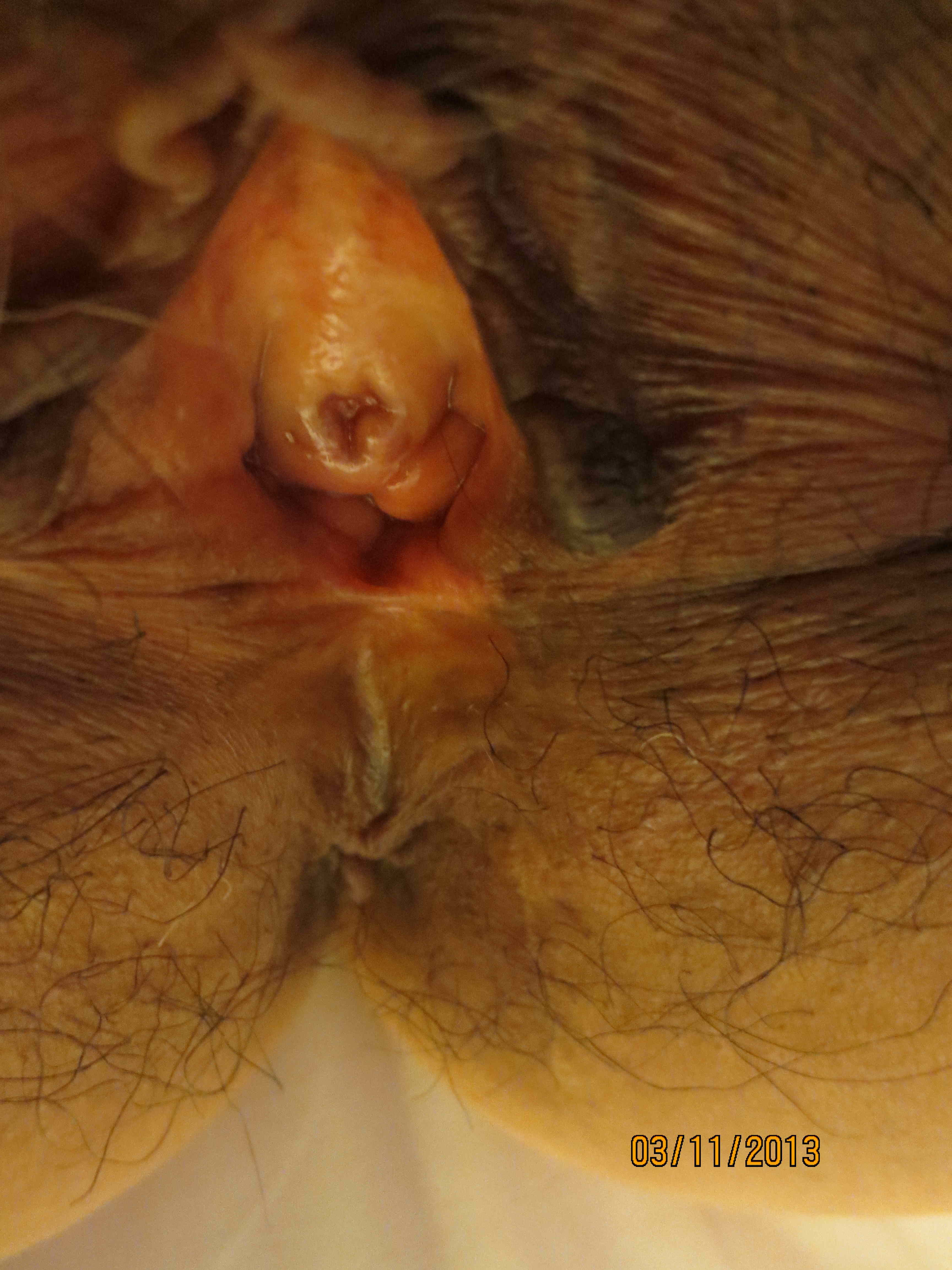 secret monster hole hairy pussy close up on yuvutu homemade amateur porn movies and sex videos 1 picture picture