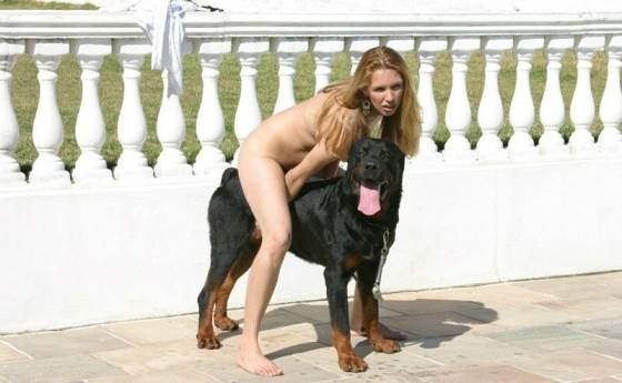 Horse Dog Ladies Bf - skjl dog and horse fucking with girl photo porn images 3 - XXXPicz